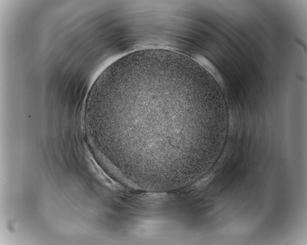 X0000100391052200806130947