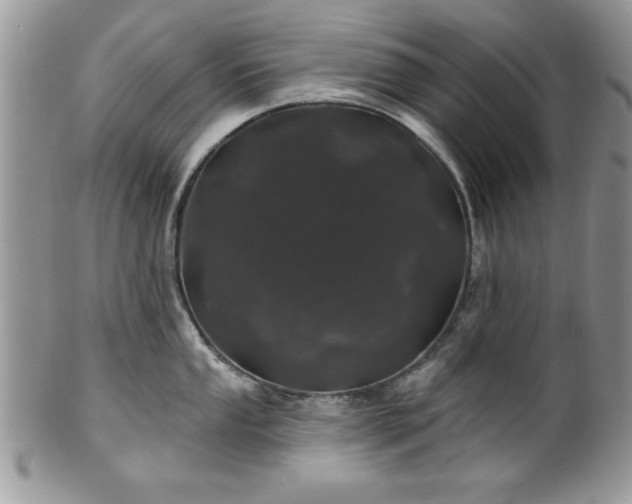 X0000100391053200806130947