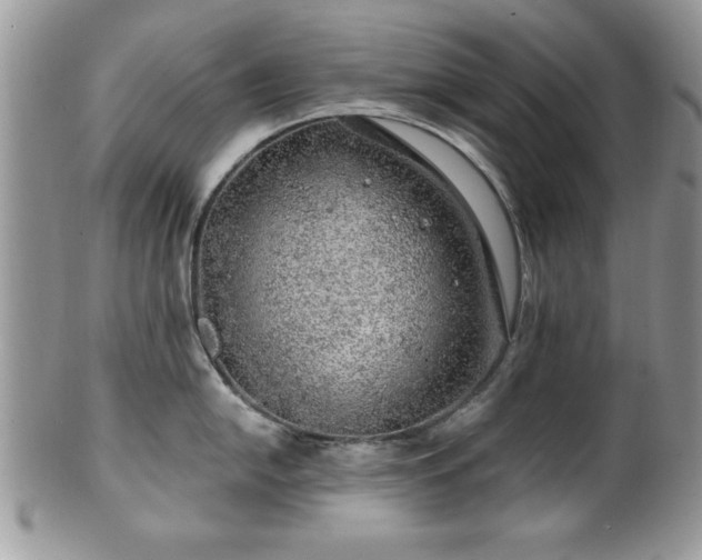 X0000100391054200806130947