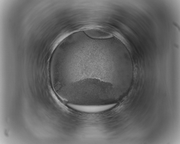 X0000100391055200806130947