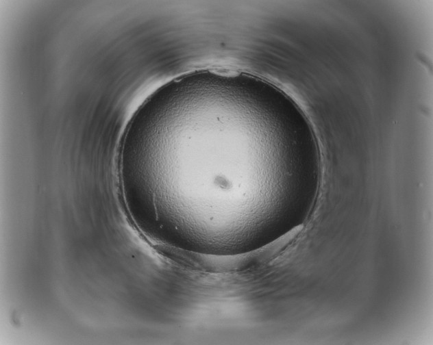 X0000100391056200806130947