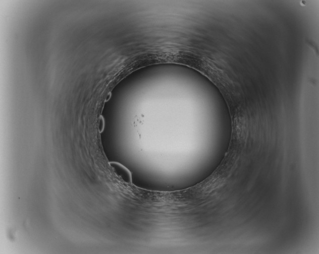 X0000100391057200806130947