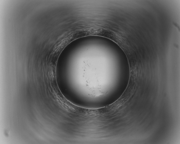 X0000100391058200806130947