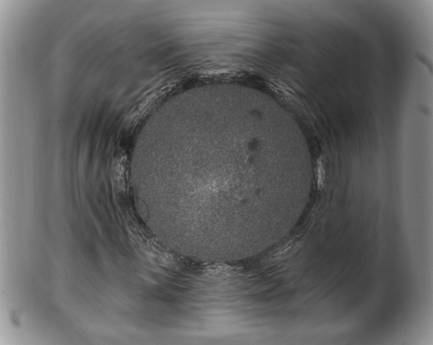 X0000100391059200806130947