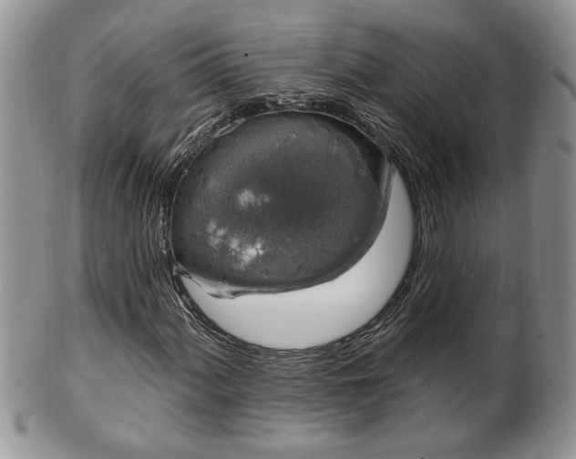 X0000100391060200806130947