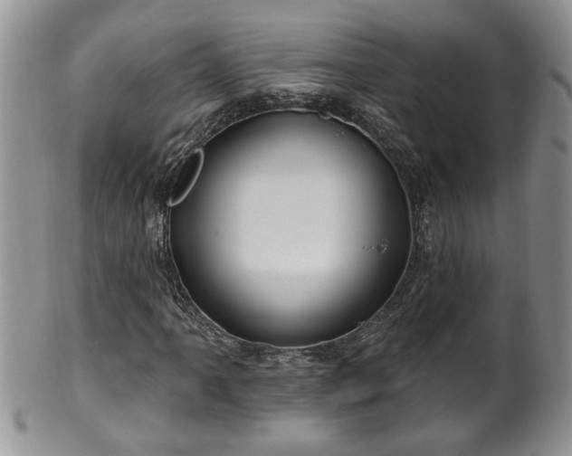 X0000100391061200806130947