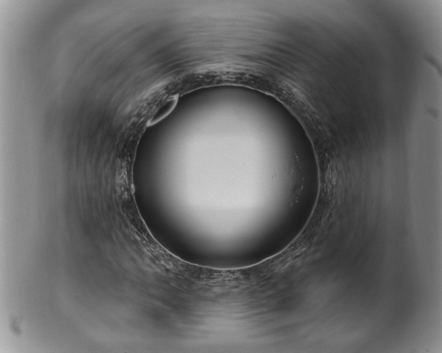 X0000100391062200806130947