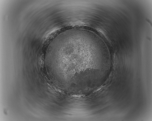 X0000100391063200806130947