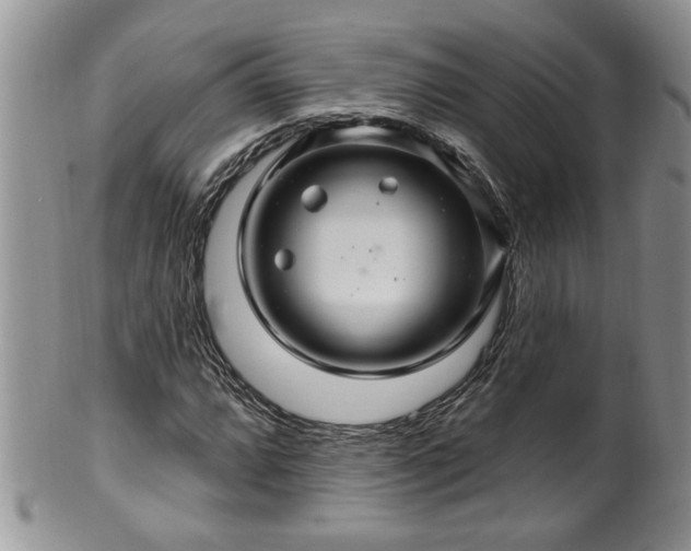 X0000100391064200806130947