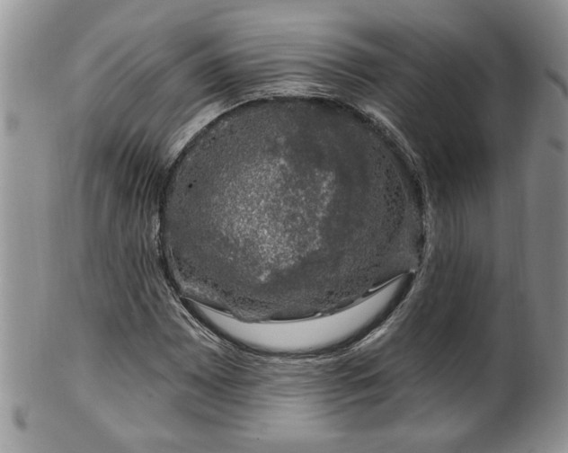 X0000100391065200806130947