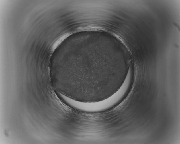 X0000100391066200806130947