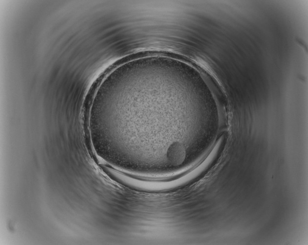 X0000100391068200806130947