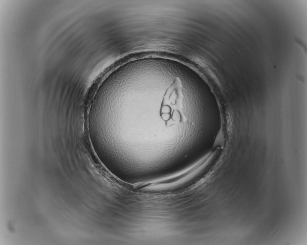 X0000100391069200806130947