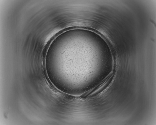 X0000100391070200806130947