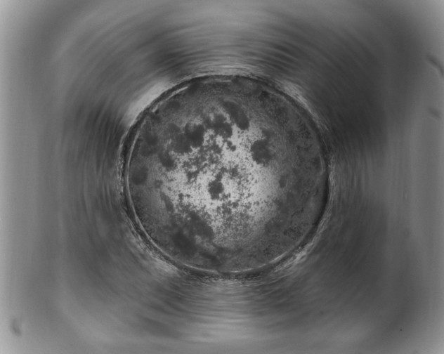 X0000100391071200806130946