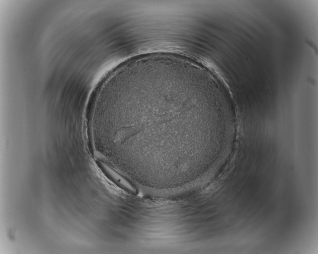 X0000100391072200806130946