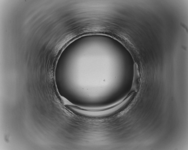 X0000100391073200806130946