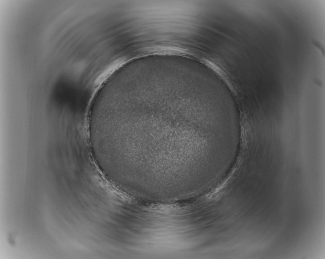 X0000100391074200806130946