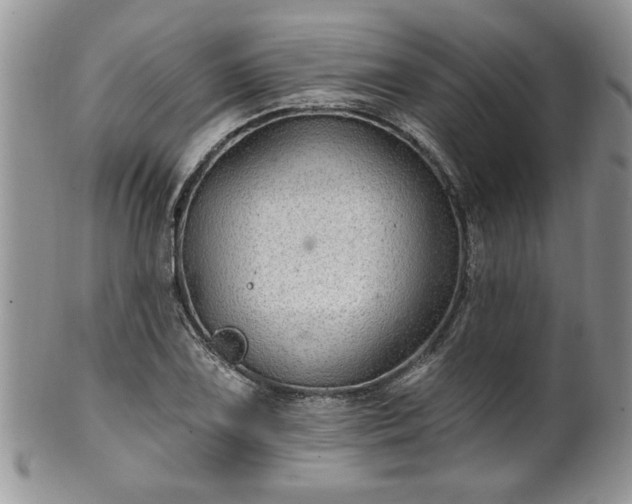 X0000100391075200806130946