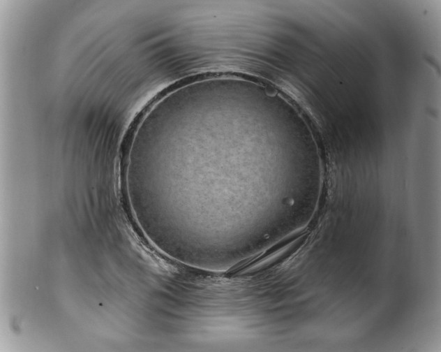 X0000100391076200806130946