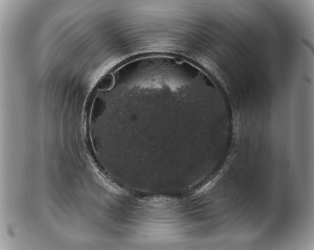 X0000100391077200806130946