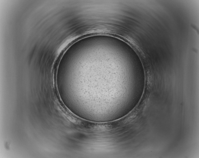 X0000100391078200806130946