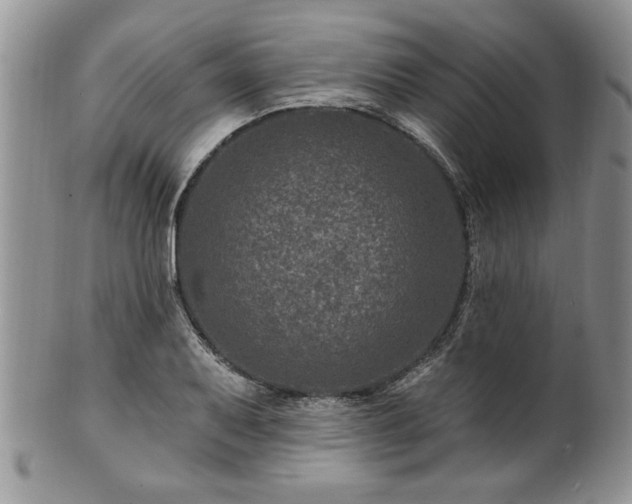 X0000100391079200806130946