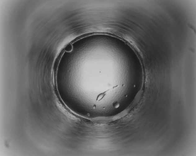 X0000100391080200806130946