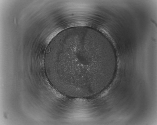 X0000100391081200806130946