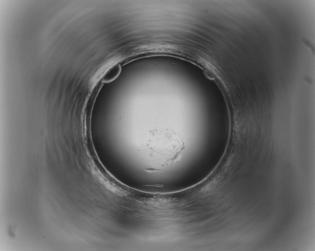 X0000100391082200806130946