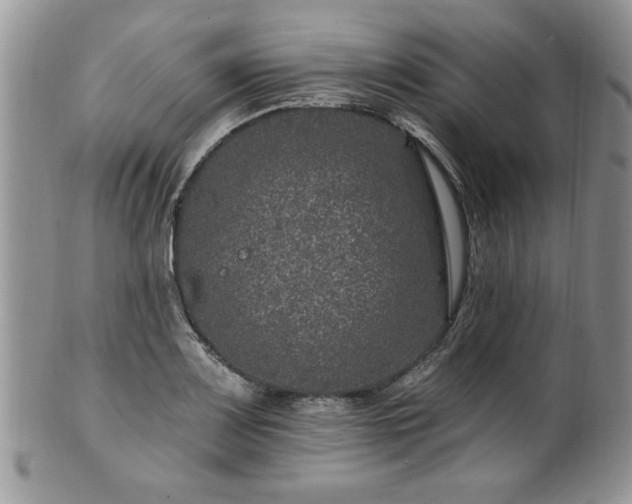 X0000100391083200806130946