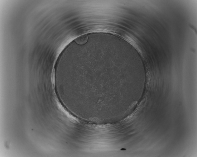 X0000100391084200806130946