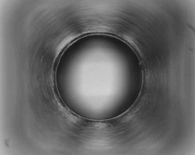 X0000100391085200806130946