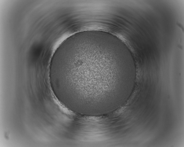 X0000100391086200806130946