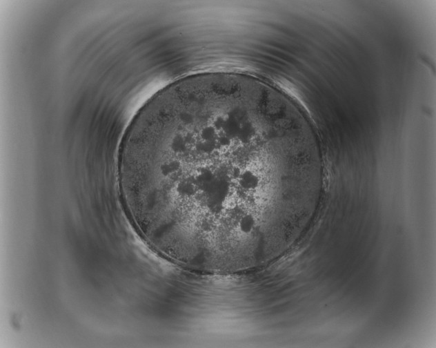 X0000100391087200806130946