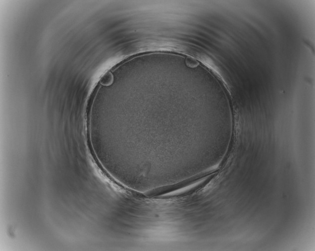 X0000100391088200806130946