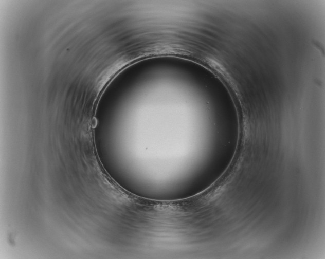 X0000100391089200806130946