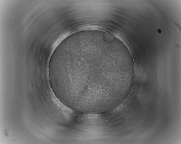 X0000100391090200806130946