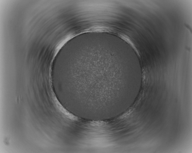 X0000100391091200806130946