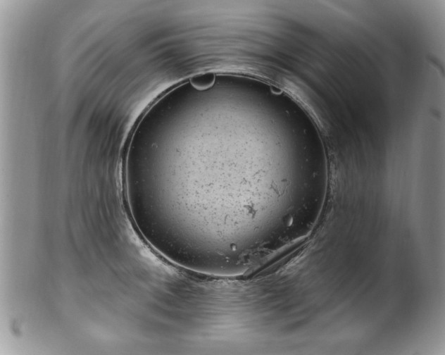 X0000100391092200806130946