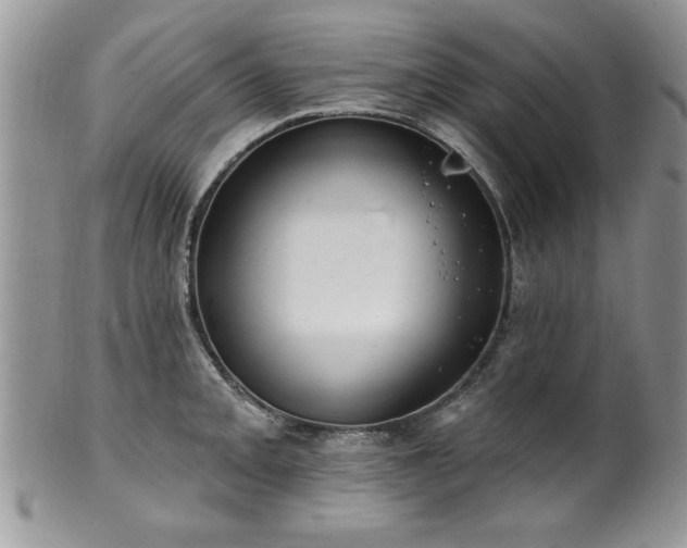 X0000100391093200806130946