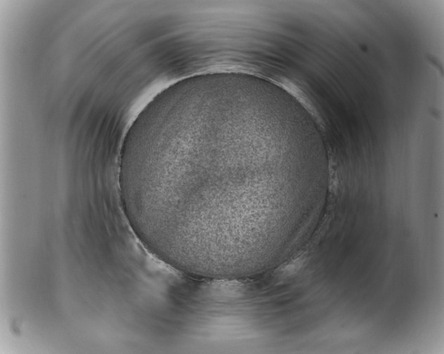 X0000100391094200806130946