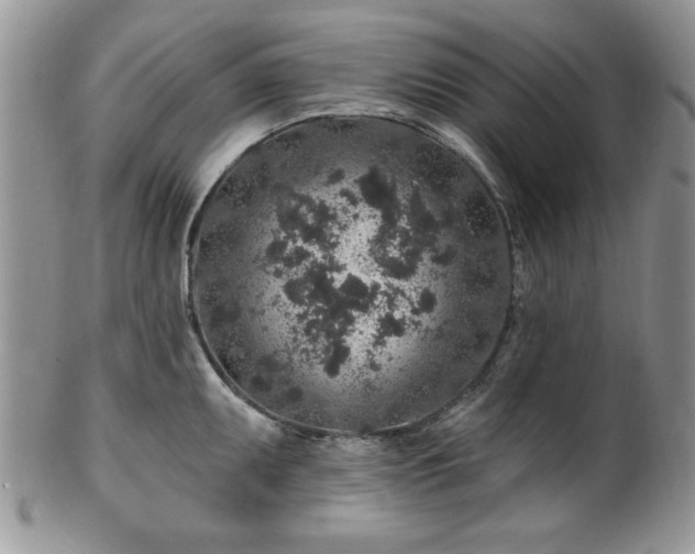 X0000100391095200806130946