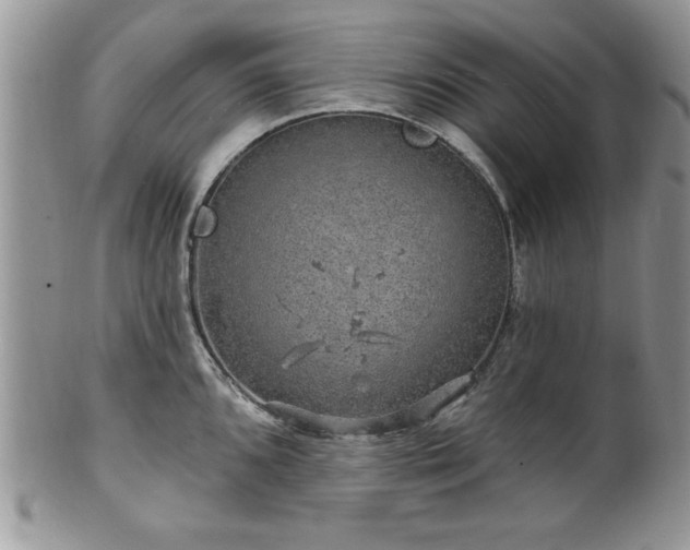 X0000100391096200806130946