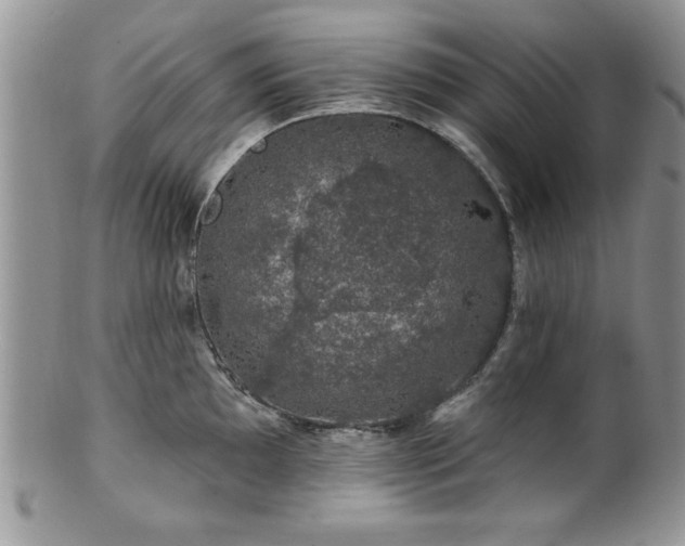 X0000100391097200806130946