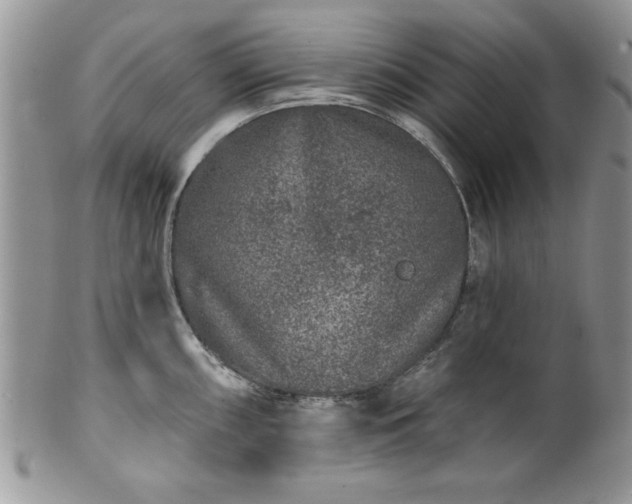 X0000100391098200806130946