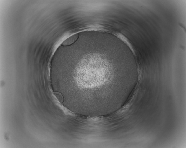 X0000100391099200806130946