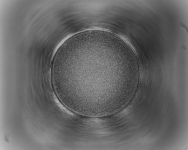 X0000100391100200806130946