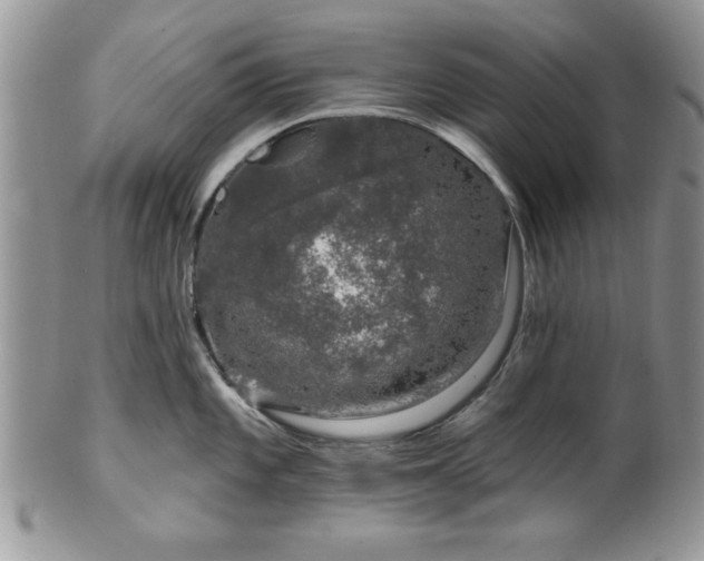 X0000100391101200806130946