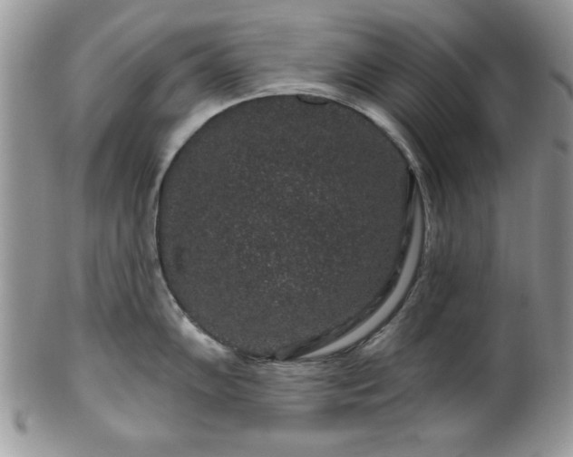 X0000100391102200806130946